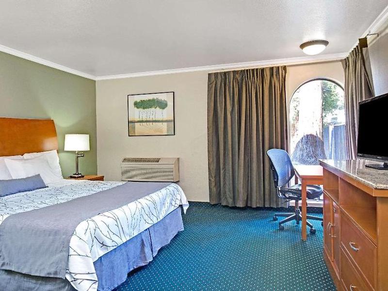 1B3946C109B8CAE00FE2DEBB0E05A953