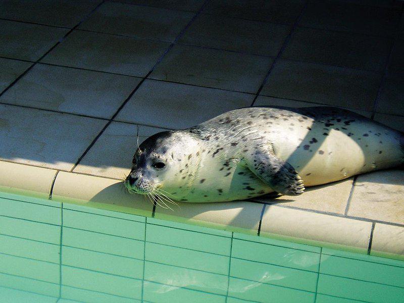 A74DF23AEAE3C209F574CBE4ED514A13