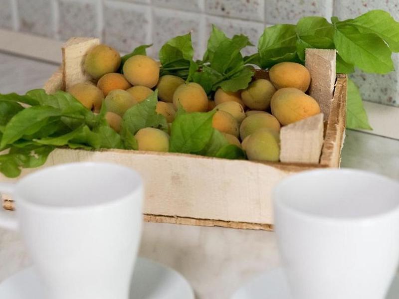 A52E790A666AC56B664CB2E6DC7B01E3