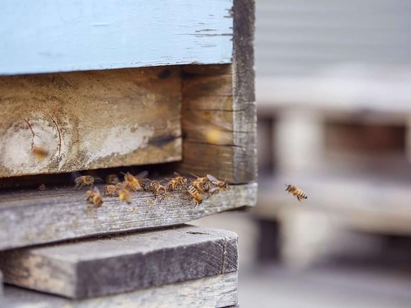 8D10F905701865DFF627E3F8F6E7A1D9