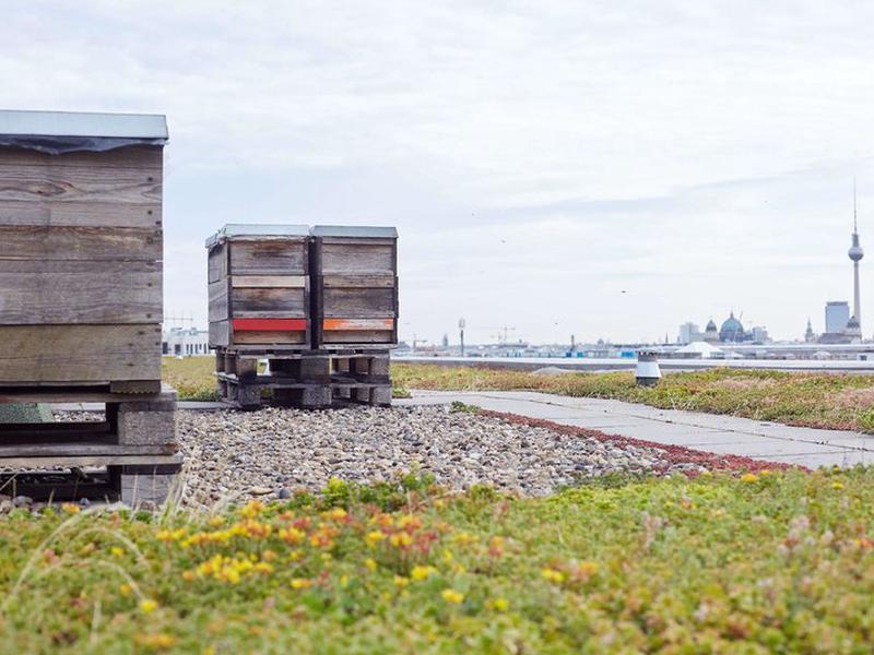 FE33A8B5754519D426168E8C229BD860