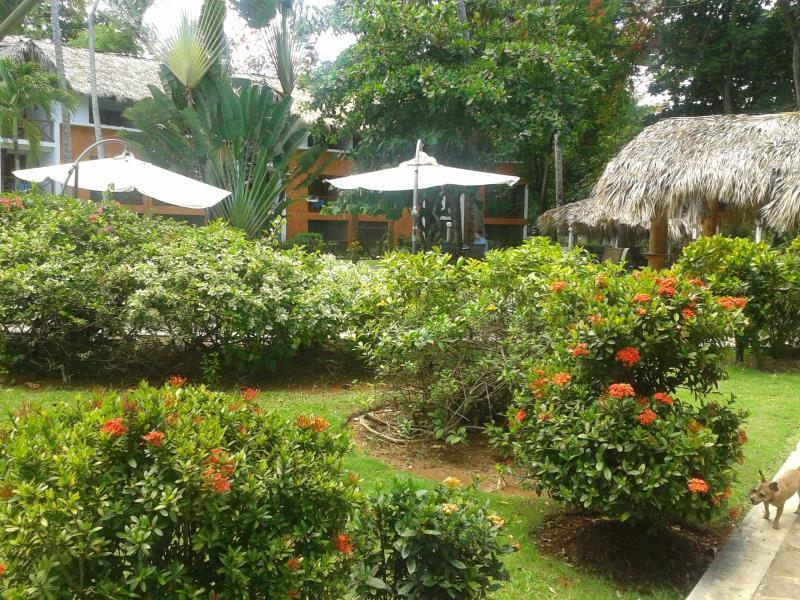 DD73AA09A17F2E5B41CC573FCDE040C5