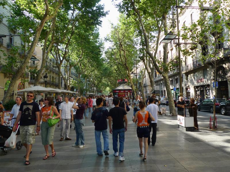 FF7CBAB3AA26087D72F181AD799829F6