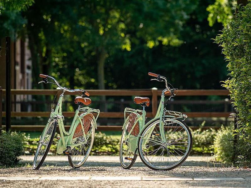 B7F90E7938151BB11C747DD075020879