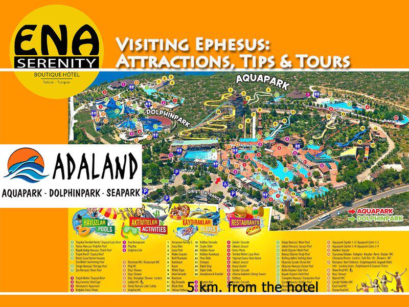 BE9F6E3C8FCB88A0C7F83F8A83205064