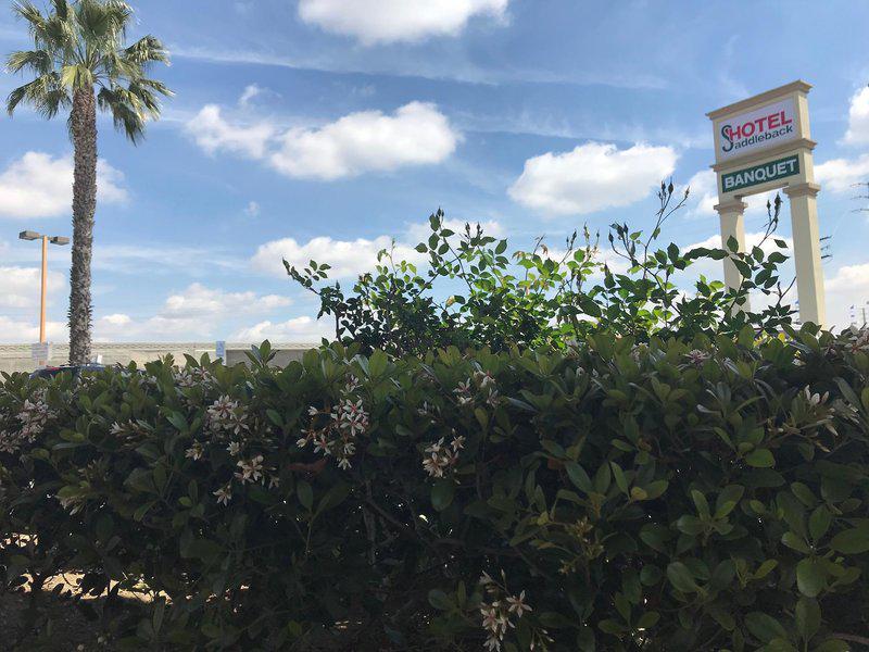 440425E15C9B12509F2C1DF2F6515B8A