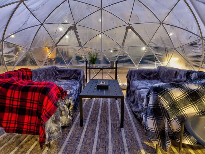 34BC240C2A8D7F1C39FEF8C7DA162856