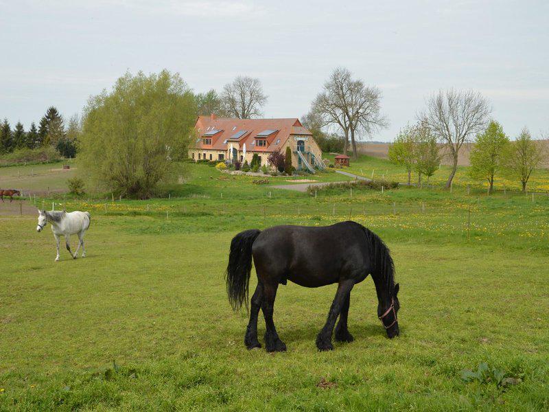 02C5BF57D6EB3B52B8CF53E4645D9186