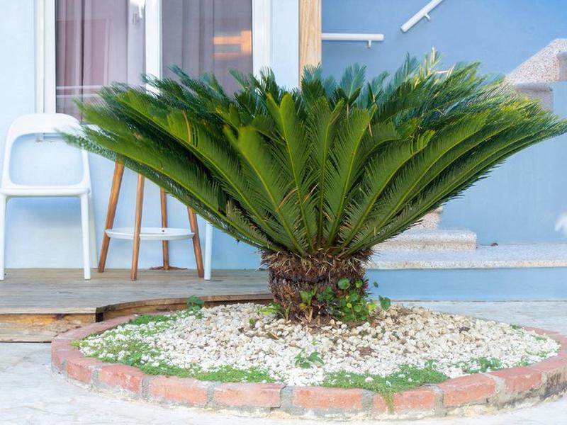 E4C0A3080DCFFFA358481A8635EEC6E0