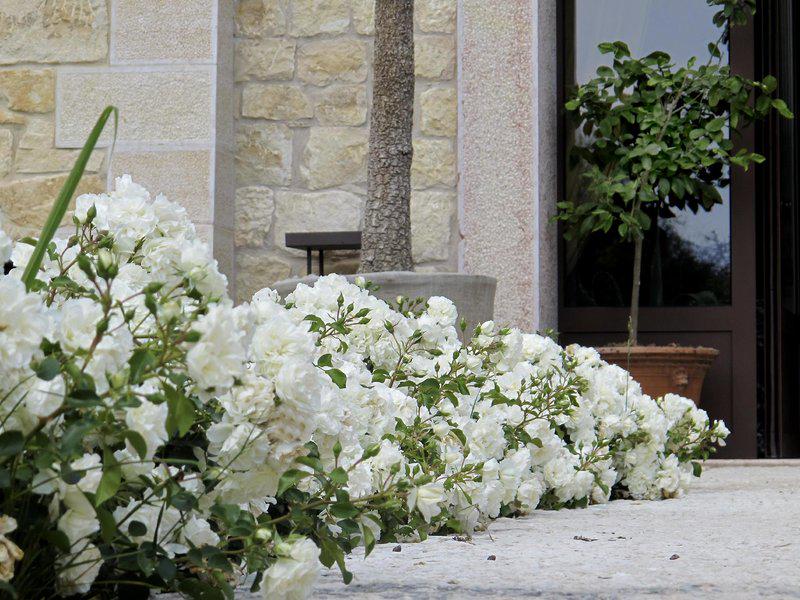 B6C8B23EB356FAF86C9C2B1D6548A1D2