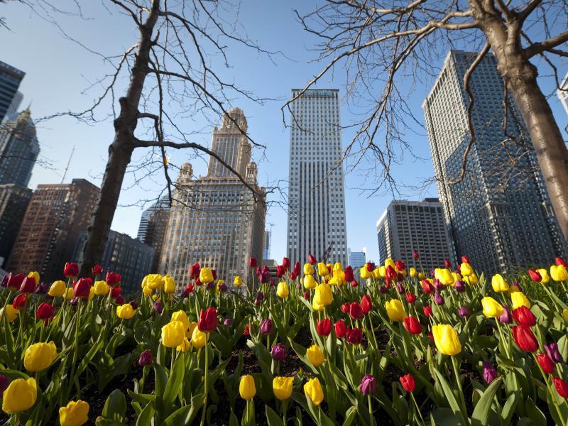 51ED12AF6CB7C52CAE835863513BBEA6