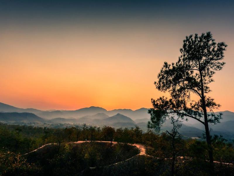 C0145F26DFEDE86C8248E529E32DF887