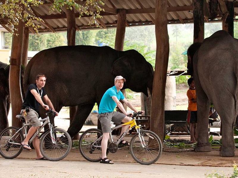 62332C3223B3F51981252DA374517F6A