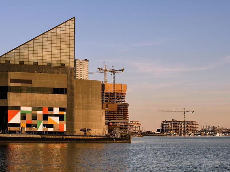 D9875E4B610B281F37EEE4174D952554