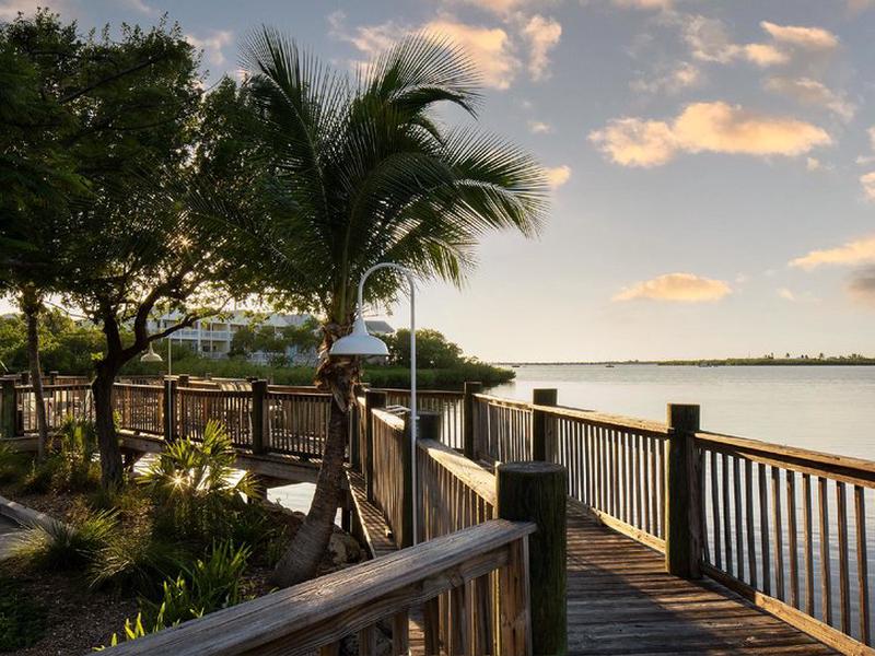 8EF2EA797C4333A6A1C4CF0227EBB740