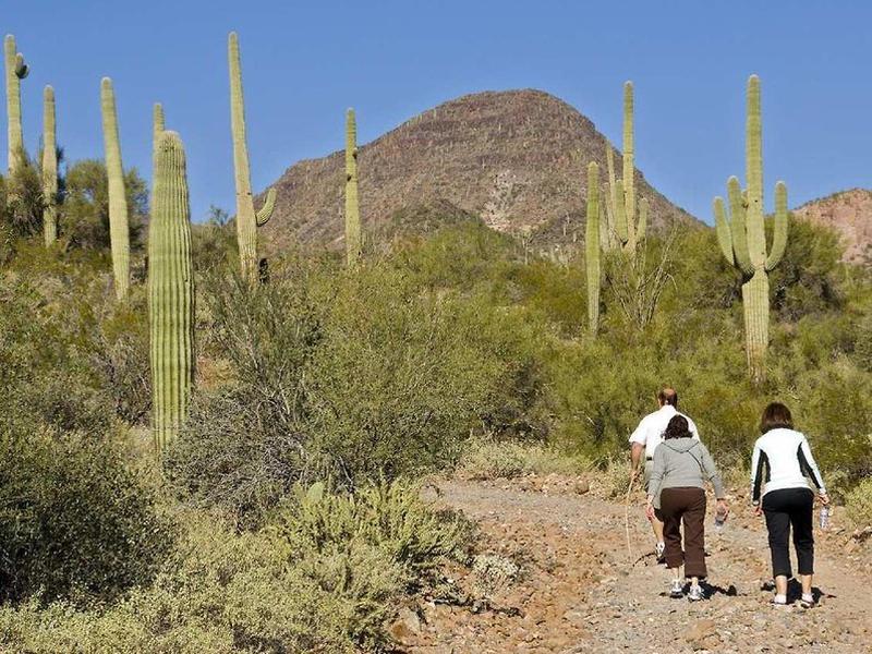 4E28876CA98460899BEA13C3E1576B0E