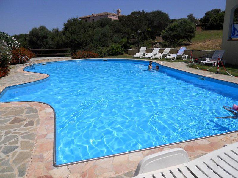 4D2C336538FA8B3A8D1350AC7283C65D