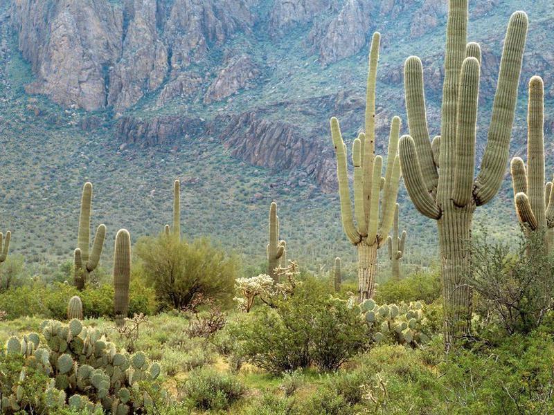 B7B25F71855716B3B5626432C4C4AD68