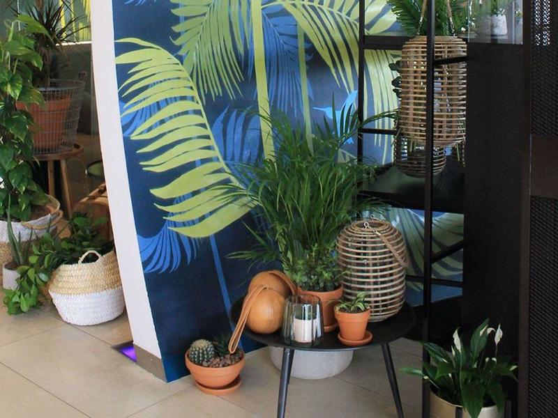 8954EDDB3108C358A4A2A5DBFDE3D815