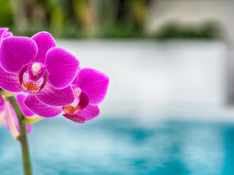 38E40808C115025B4F7E5DAB4D3AE1C7