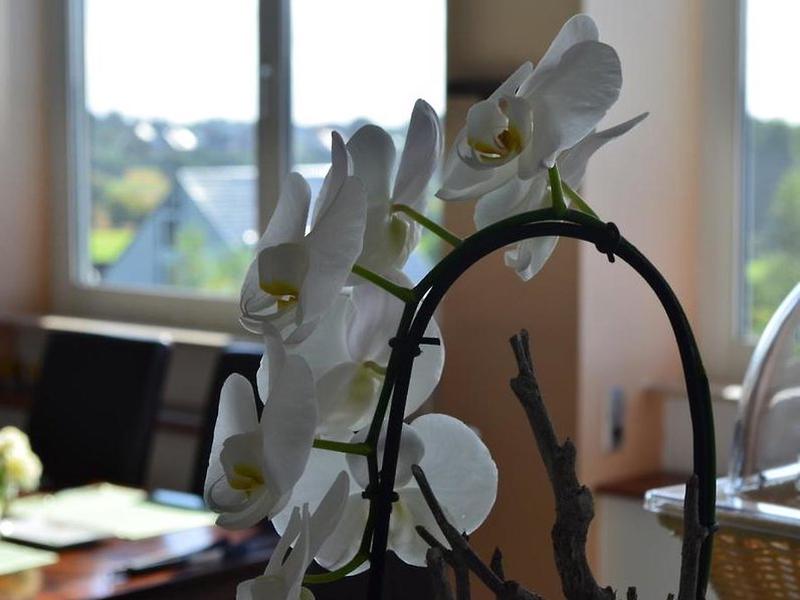 09C3B01A6CFF82F3C74481561D15D3F4