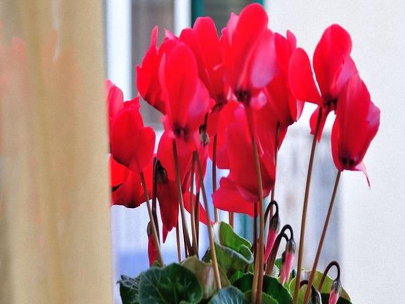 486A80693E0753AA8028D489DEA0F848