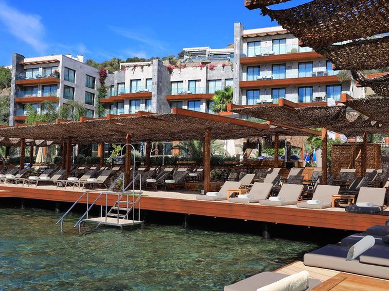 B803272E46F5576785F12E7C8654EFD6