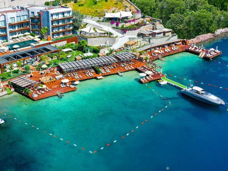 989A917BB8F18E9C05D39FBBB8DA074A