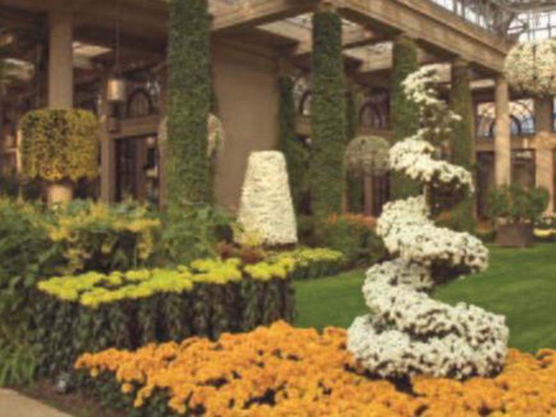 4E35EB219F92E6EF3CE6BB44744C2411