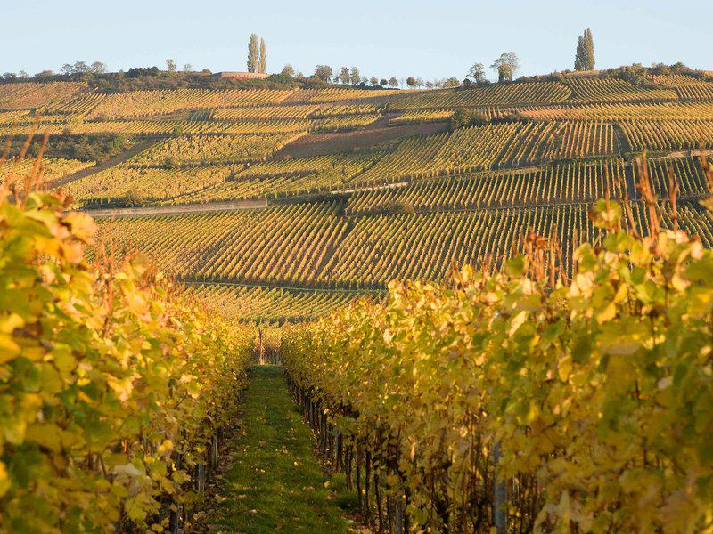 DC1E2AB7AB87A12EC4838E38A19D4467