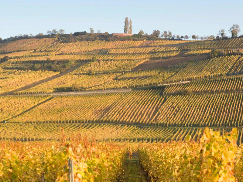 0C14C77E4AE9C6D44ACA41C1727DC59F