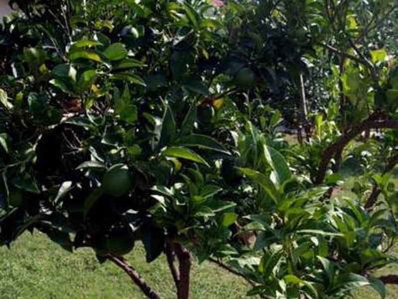 901E9B4786D8DA6272BF8711DCB2F713