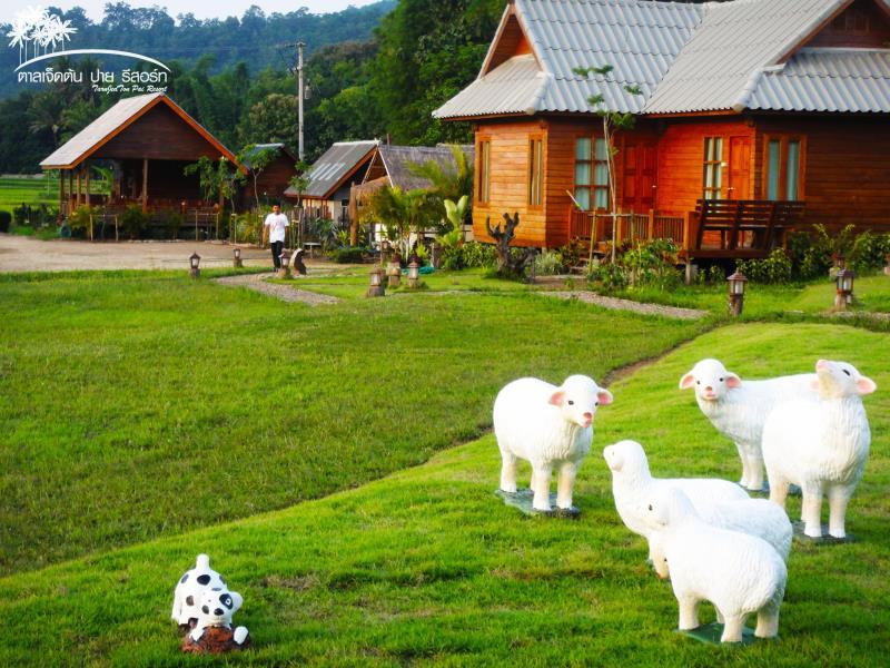 A1950DA0BED2F29BA78FFEB806AFEB99