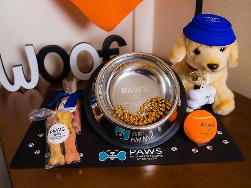 C9C1171E79A1EA5F0D7DC9FCEBEEFDDE