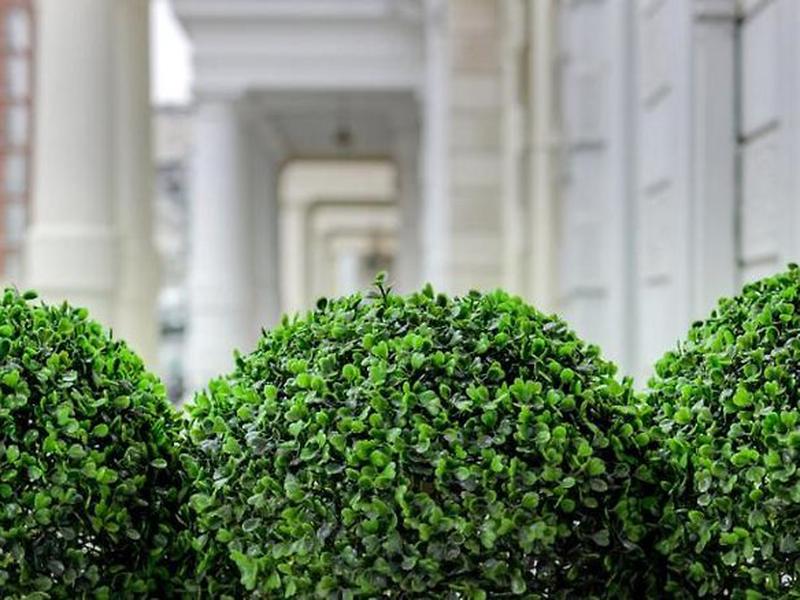 205A8F9431B772C290EA2D0F2AC5AA25