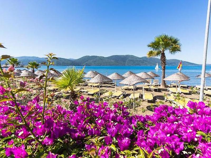 D2E8629EE518C1EE74604C06671C298E