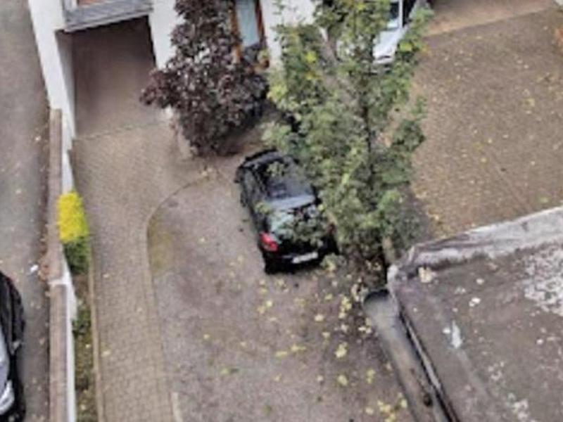 F3E9B73C526795FF185EF2CE36D61D1F