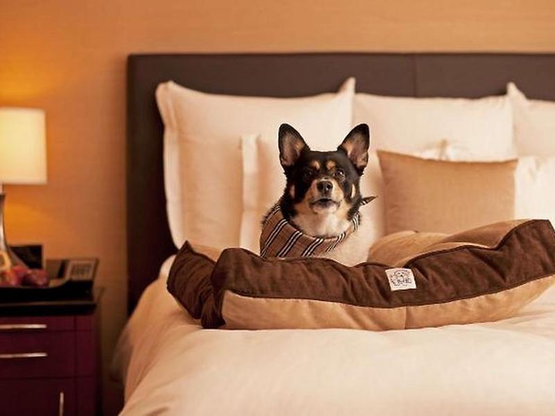 8AE64FE7003E912E379C6F182062292B