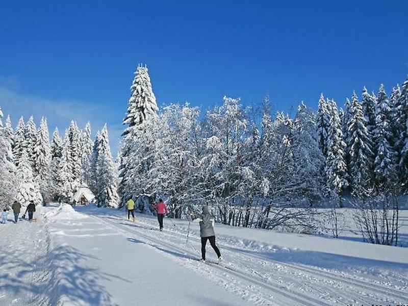 B2E22655F8ADF7B7E7A0A1B77B994D8B