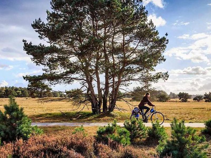 EF7152781D0DDD8D9F8D26627EBD1D88