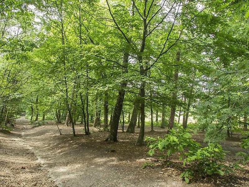 6E536ECE65D7BCADC8ABFF7780FCF05F