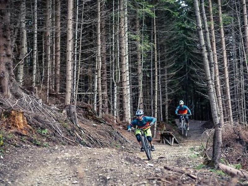 4071FC5A80896C2733C234ABF2E9B974