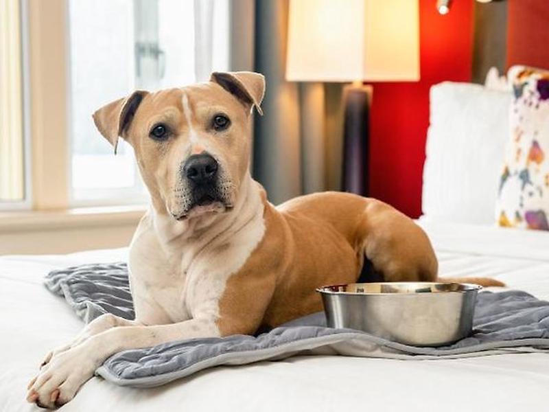 04B1FB77ABAC8D61C09849766022EF9D