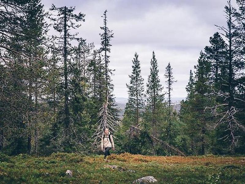 3C65E2AFBF9331AE800810F68460E87C