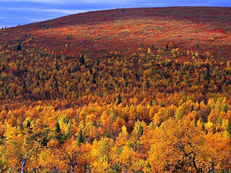 95766E000FFC0DF31773B03CE040B97C