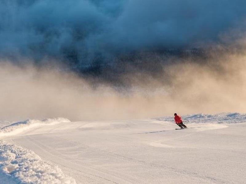 F9446B1865FEEC7EB428BEEFF4953802