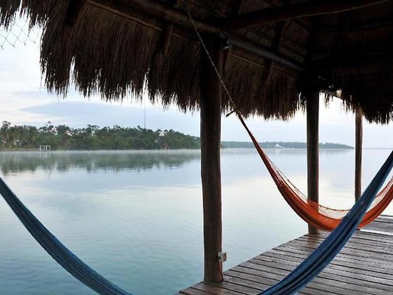 CC648F95E039461A51C25447650D4493