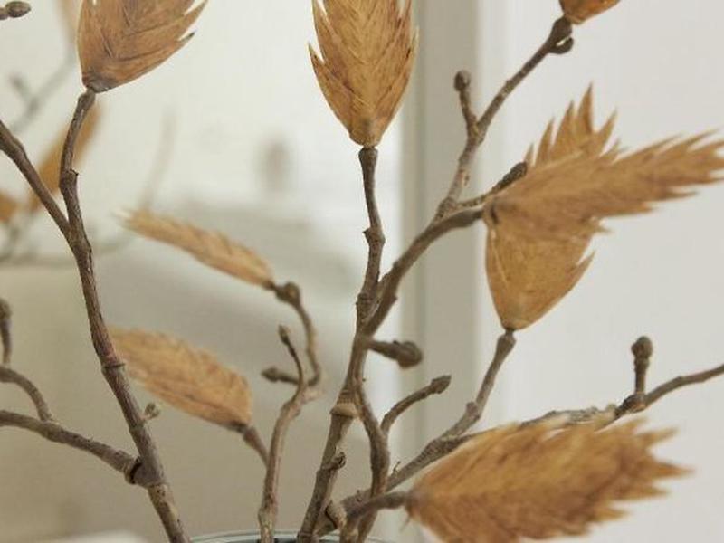 09491F69895B69A420B4025A36401CD4