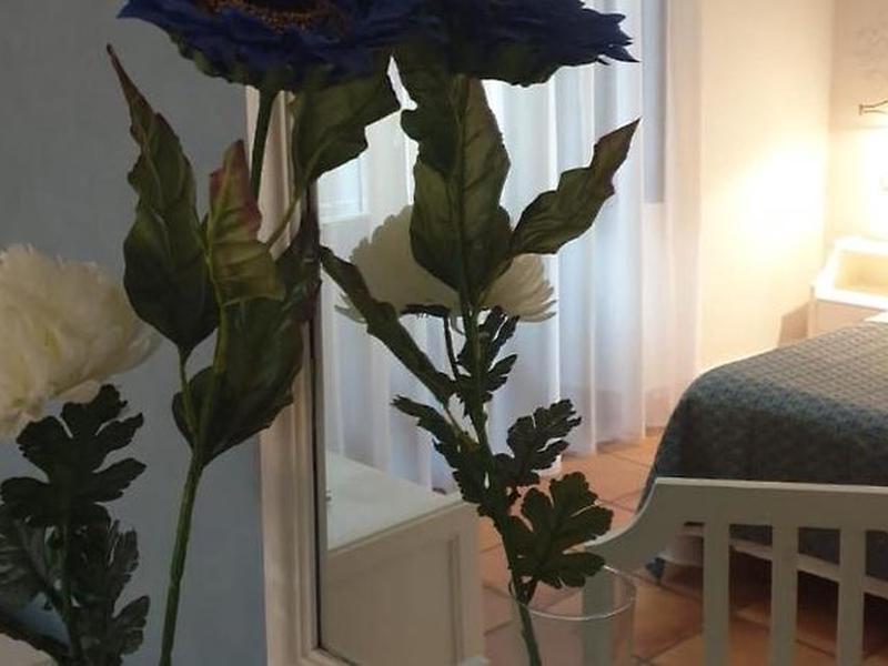 6AF82E092BCE3382E3A66230C377D1CC