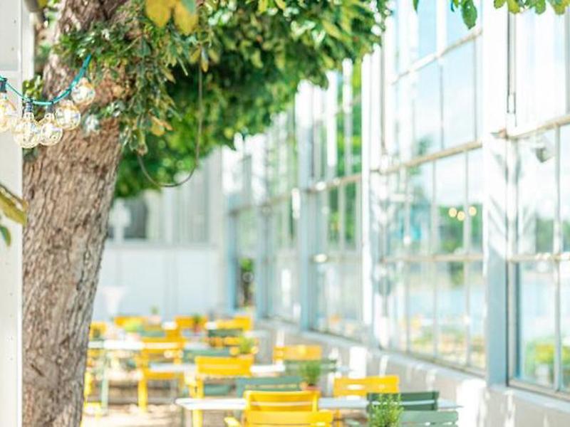 9E6B8E10C35C769269729FA560CB662A